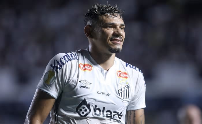 Copa Betano do Brasil
