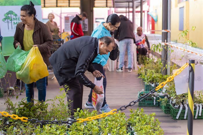 Prefeitura realiza terceira entrega de mudas do ano e programa já supera 60 mil árvores plantadas em Curitiba