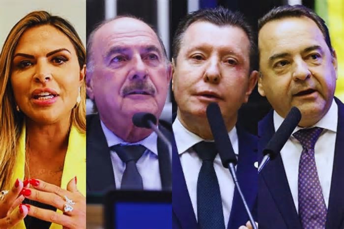 R$ 954 milhões, 14 senadores e musculatura na Câmara: a força da federação UB + PP