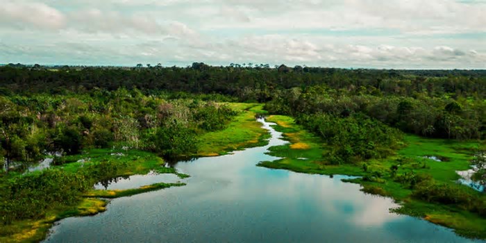 Área de proteção terá trilha ecológica e turismo de base comunitária