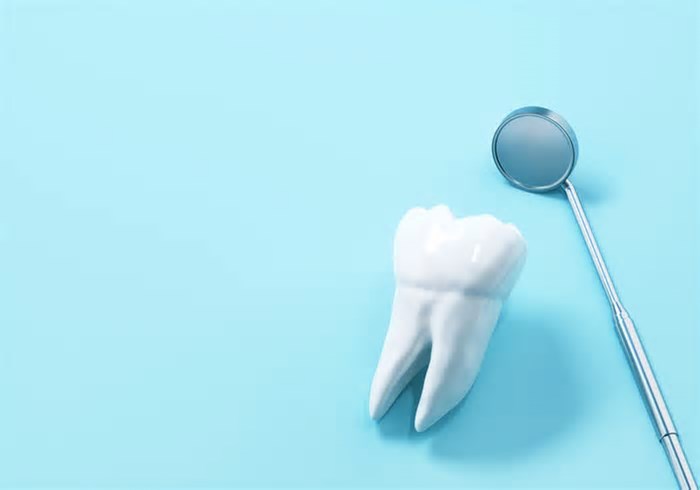 Dentes cultivados em laboratório estão mais perto da realidade, dizem cientistas