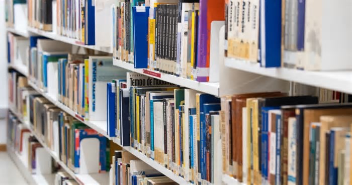 Dia Nacional da Biblioteca: BH celebra a data com diversas opções para os amantes da leitura