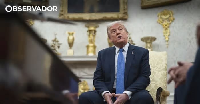 ONG apresenta lista de 100 violações dos direitos humanos cometidas por Trump