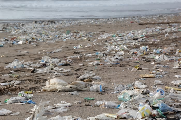 Estudo revela as praias mais contaminadas por microplásticos no Brasil
