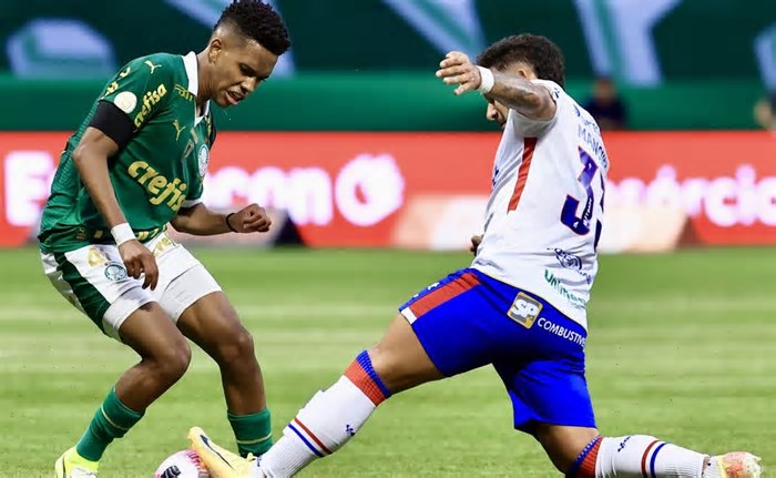 Fortaleza x Palmeiras AO VIVO – Onde assistir jogo em tempo real pelo Brasileirão Betano