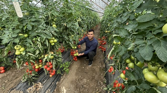 Na Turquia, ciência ajuda a engordar a colheita de hortifrútis