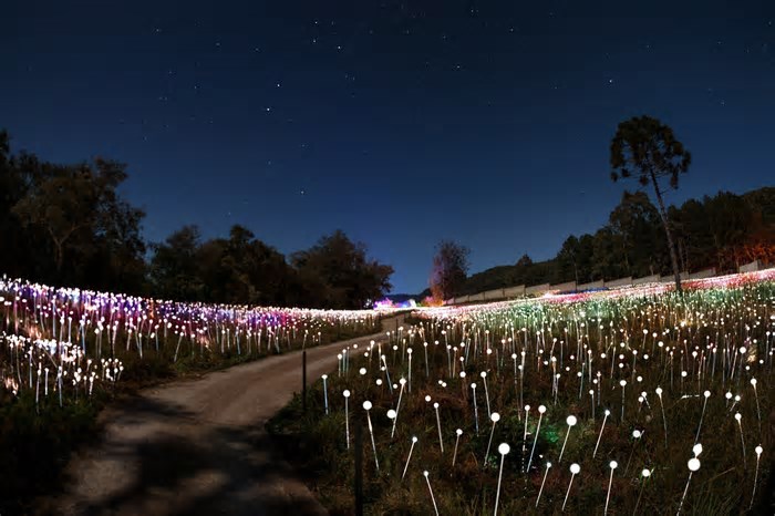 Parque temático de luzes em Gramado divulga data de inauguração e inicia venda de ingressos