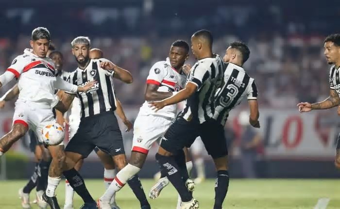 Retrospecto entre Botafogo x São Paulo: veja os números do confronto