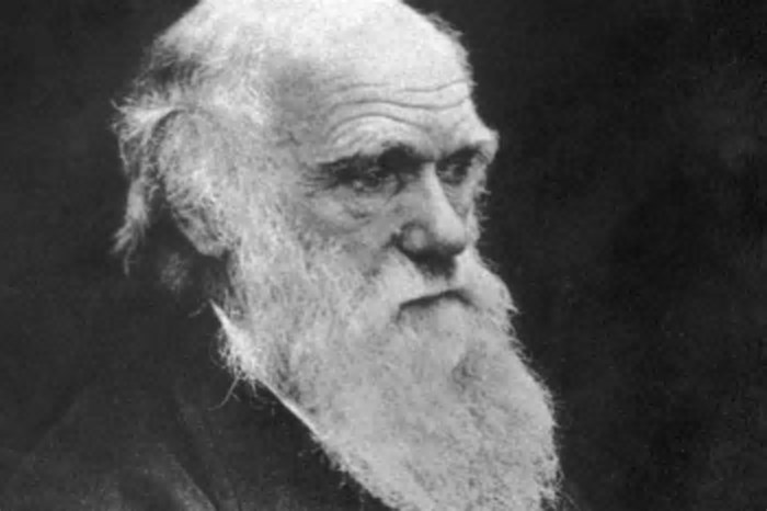 O que é a teoria da evolução de Darwin e como ela mudou a biologia?