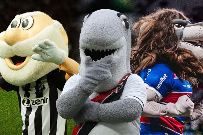 Mascotes dos clubes: uma construção de identidade no futebol brasileiro