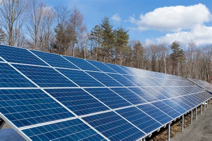 Energia solar no NE atrai fabricantes de baterias e acelera mercado