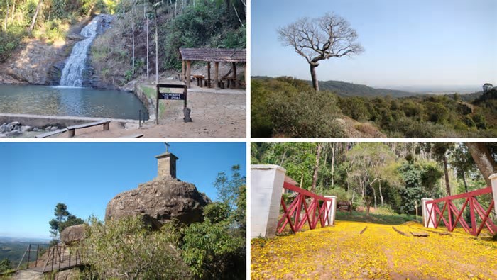MTur relança edital para contratar consultoria para promoção do turismo em florestas nacionais