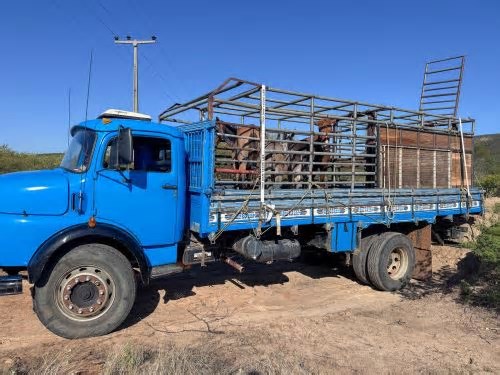 Operação ‘Pista Não é Pasto’ apreende 10 animais na BA-210 e reforça segurança em Sento Sé