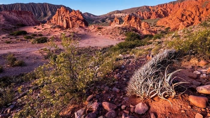 15 Ideias de Viagens Sustentáveis para 2025