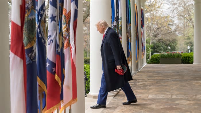 Em 100 dias, Trump encerra USaid, desmonta educação e enxuga saúde