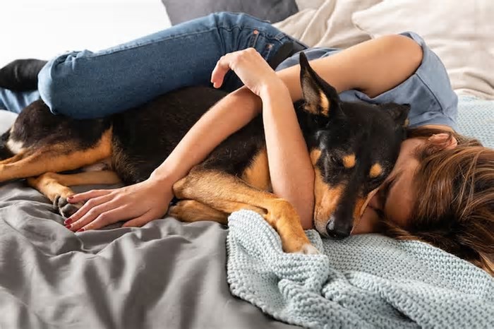 Os 7 benefícios para a saúde mental em dormir com seu bichinho de estimação, de acordo com a psicologia