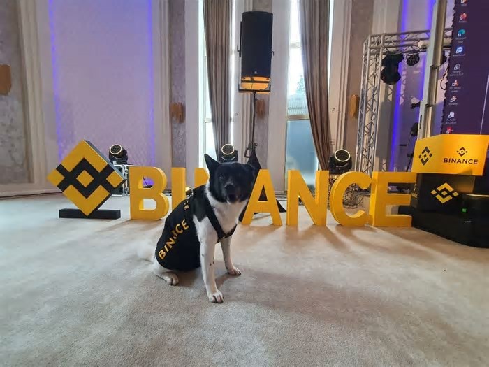 Binance revela mudanças em seu sistema de listagem e remoção de criptomoedas