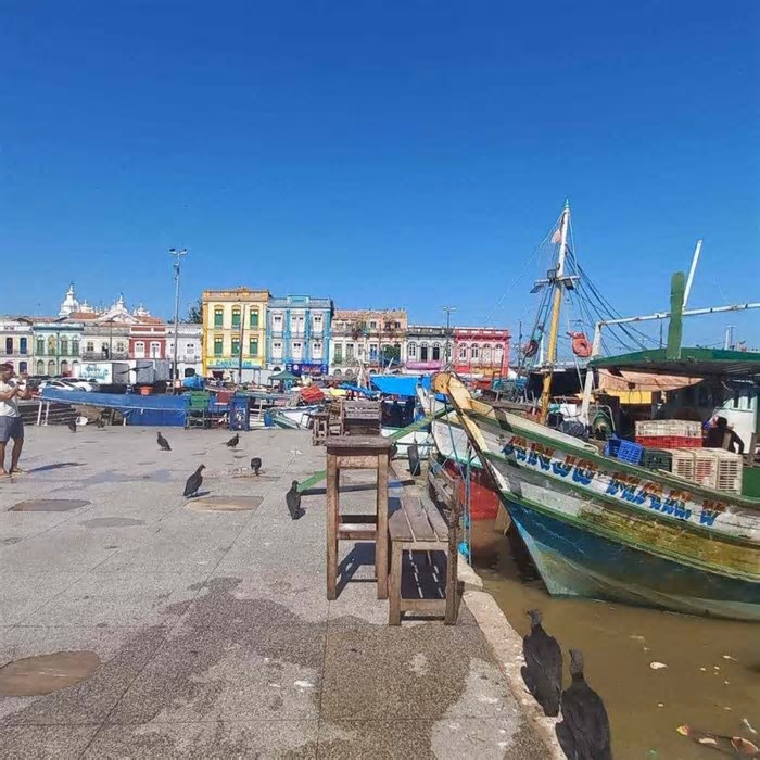 Belém: a capital da sujeira que sonha limpar o planeta