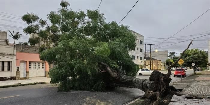 Temporais causam transtornos no Litoral e no Sul do RS