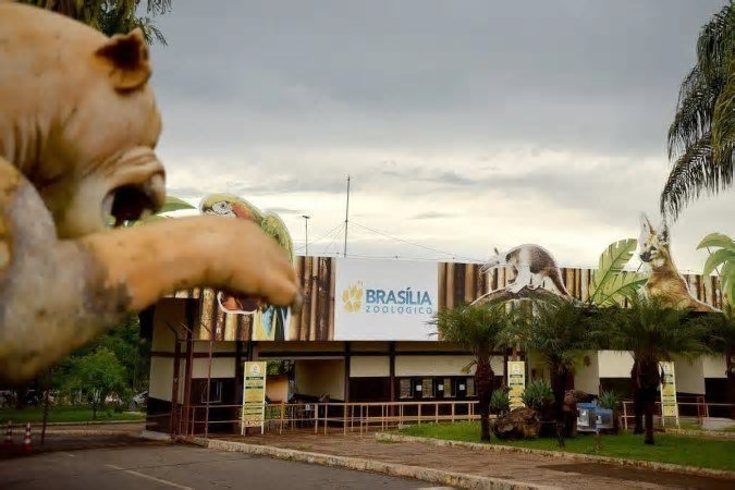 Quase 40 mil usaram entrada gratuita no Zoo e Jardim Botânico