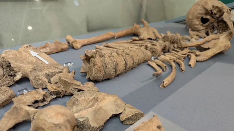 As marcas de mordidas encontradas em esqueleto que revelam combates entre gladiadores e leões