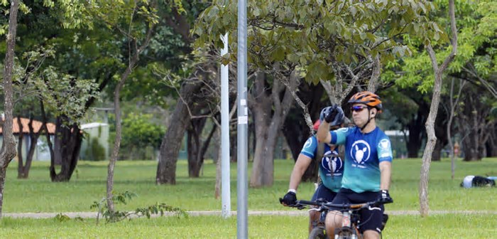 Cidade-parque, Brasília se consolida como a quinta capital mais arborizada do Brasil