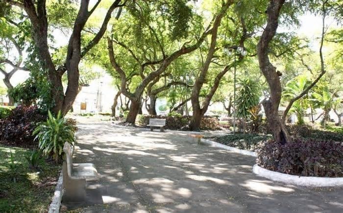 Sergipe tem o menor índice de arborização urbana do Brasil, revela Censo do IBGE