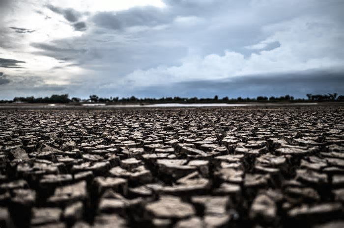 Para 57% dos nordestinos, efeitos do clima foram mais severos em 2024