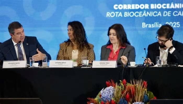 Corredor Bioceânico estará operacional em 2027, diz Riedel