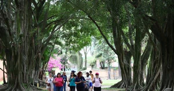 SJC: Primeiro City Tour do ano será no Parque da Cidade