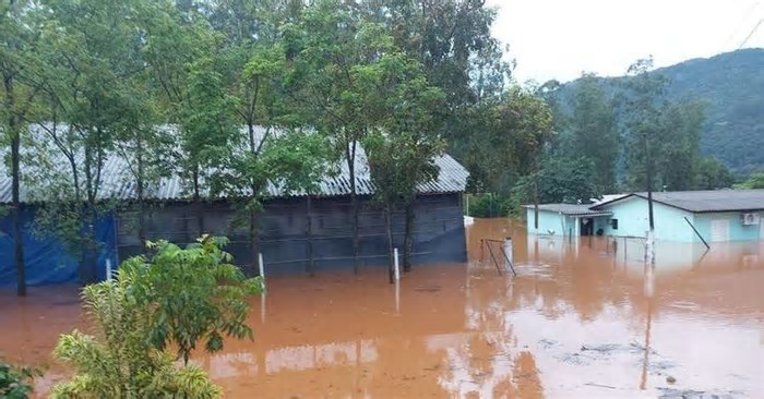 Solidariedade que floresceu da tragédia da enchente nos campos do Estado