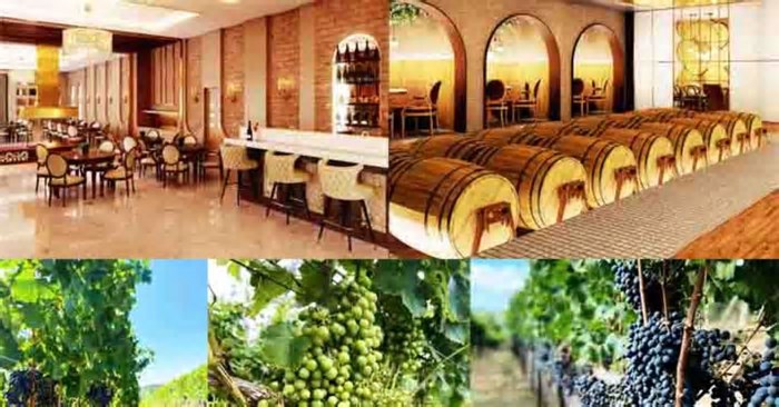 Sul do Brasil tem vinícolas renomadas e até castelo de conto de fadas