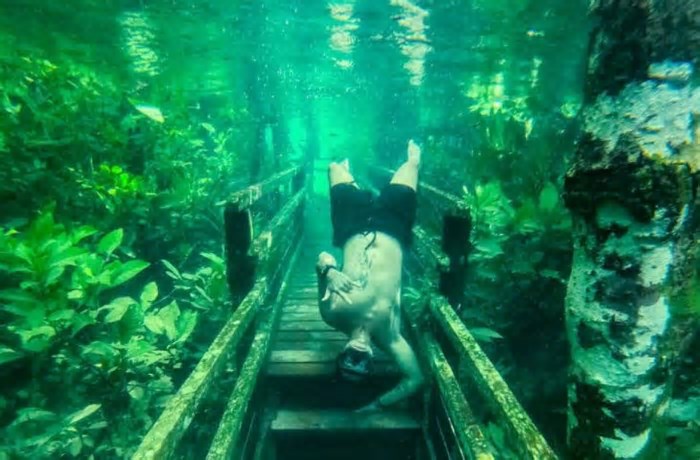 Conservação do solo garante rios cristalinos e reativa trilha submersa em Bonito e Jardim