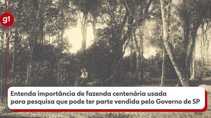 Justiça suspende audiência sobre venda total ou parcial de áreas de pesquisa do governo de SP