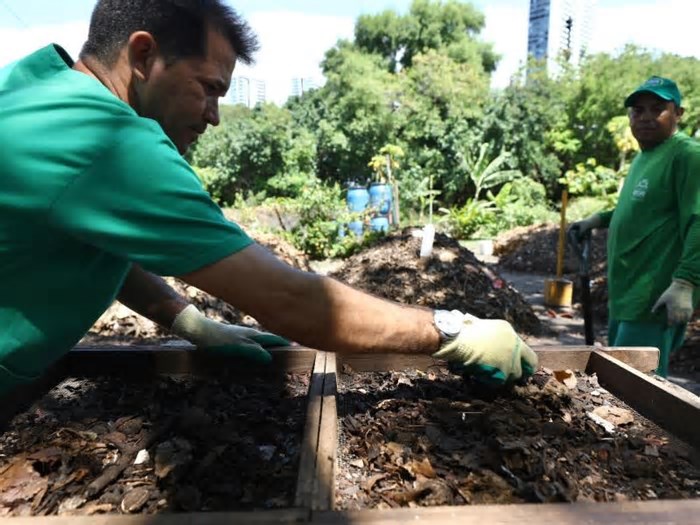 Recife: Semana Municipal de Compostagem vai promover consciência ambiental para todos os públicos