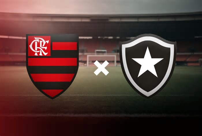 Flamengo x Botafogo: onde assistir ao vivo ao jogo do Brasileirão