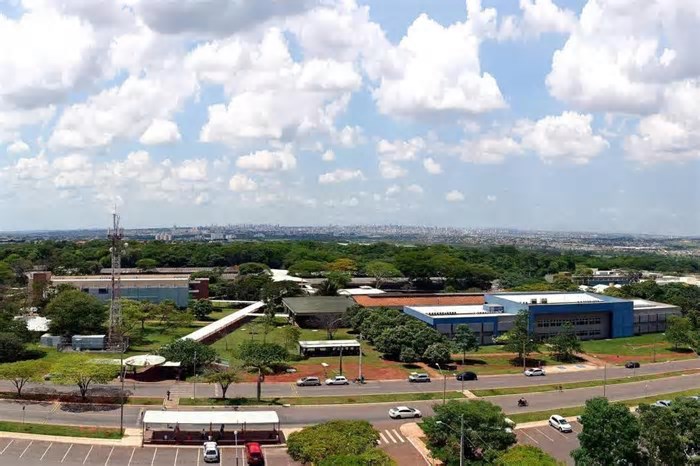 Goiás aprova primeira lei de inteligência artificial do Brasil