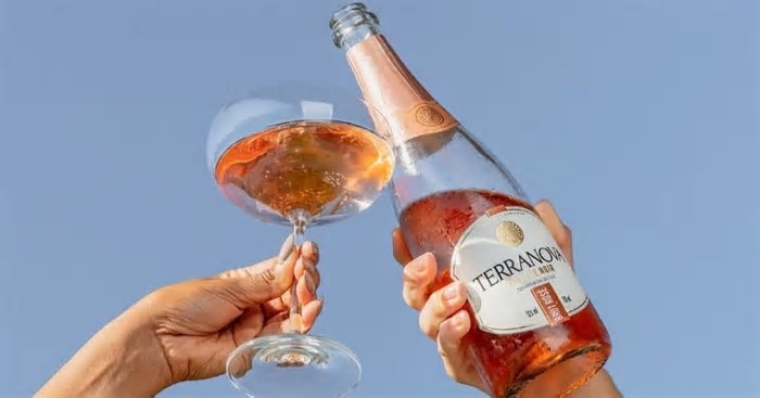 Vinícolas do Sertão da Bahia levam rótulos à principal feira de vinhos B2B do Brasil