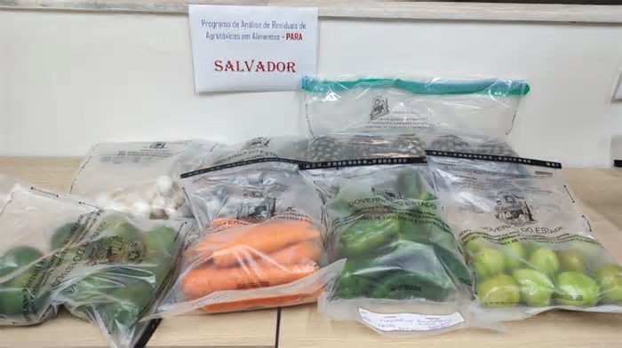 Salvador impulsiona Bahia em ranking nacional sobre controle de agrotóxicos em alimentos