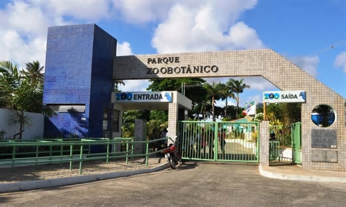 Zoológico de Salvador reabre após três meses de reforma