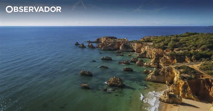 Observatório Marinho do Algarve quer impulsionar cooperação entre ciência e empresas