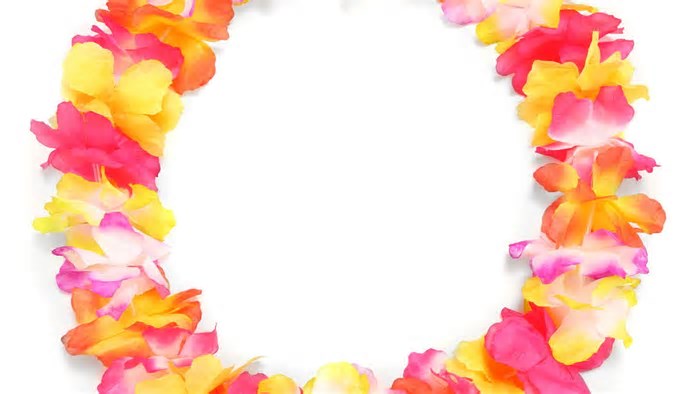 Conheça o verdadeiro significado por trás dos colares de flores dos havaianos