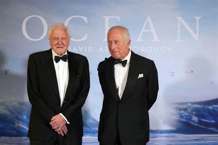 Filme de Attenborough sobre resistência dos oceanos atrai rei Charles para a pré-estreia