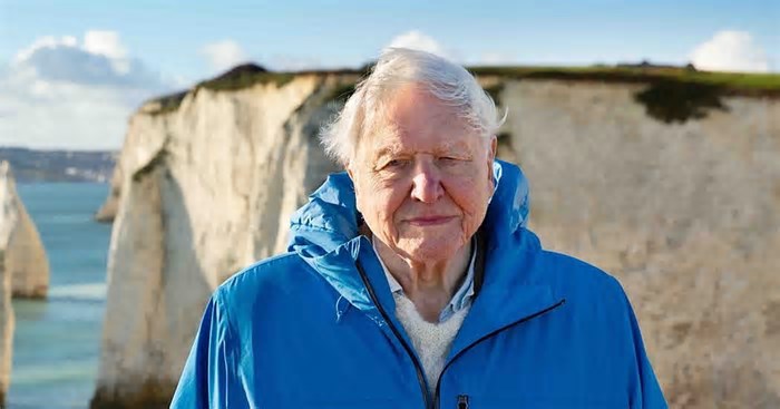 Aos 99 anos, David Attenborough lança novo filme com apelo para salvar os oceanos