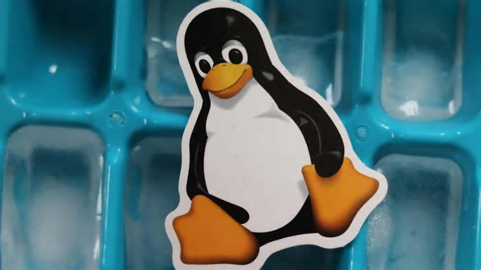 Evento da Linux Foundation sobre blockchain abre inscrições em São Paulo