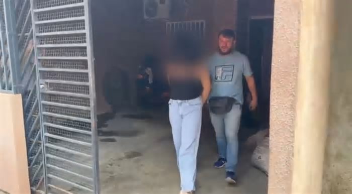 Grupo lucrou cerca de R$ 100 mil com golpes de venda de veículos em Manaus
