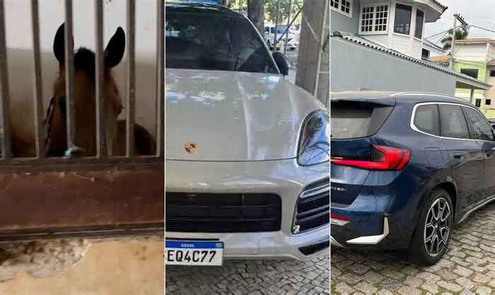 Cavalos de raça, Porsche e BMW: veja o que foi apreendido na operação contra esquema de lavagem de dinheiro em Campos dos Goytacazes
