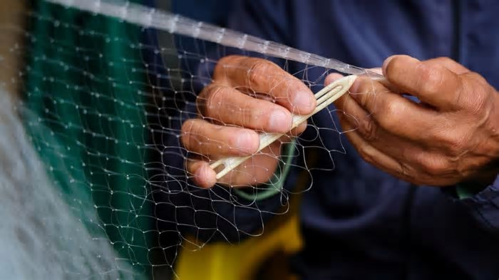 Após 15 anos, SC legaliza rede feiticeira para pescadores; entenda as novas regras