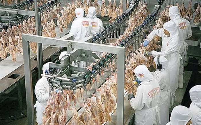 Japão mantém importação da carne de frango de MS