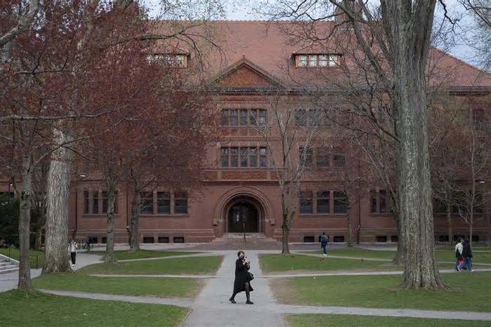 Trump x Harvard: Quais são as armas do presidente dos EUA contra a universidade?